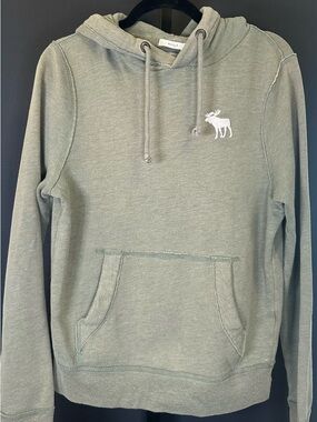 #121- ABERCROMBIE & FITCH BLUE MOUNTAIN HOODIE SWEATSHIRTS MENS SIZE S